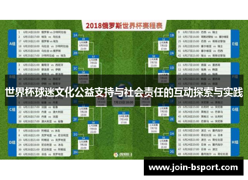 世界杯球迷文化公益支持与社会责任的互动探索与实践