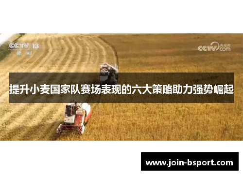 提升小麦国家队赛场表现的六大策略助力强势崛起