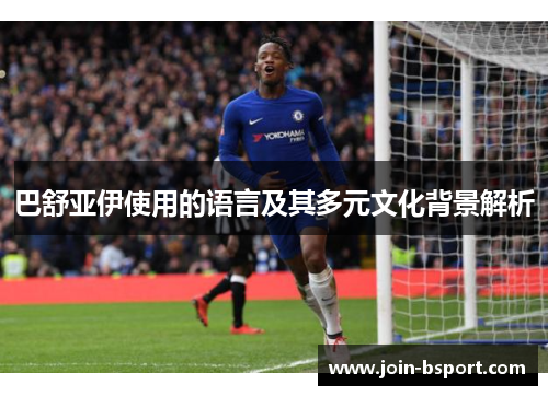 巴舒亚伊使用的语言及其多元文化背景解析